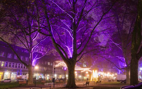 TWL Lichterzauber lässt Ludwigshafen glänzen