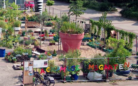 Ludwigshafen blüht auf im Hack-Museumsgarten