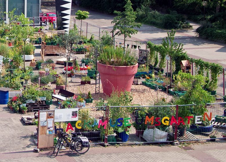 Ludwigshafen blüht auf im Hack-Museumsgarten