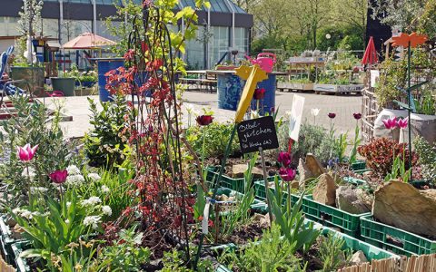 Die große Lust am Garten in der Stadt