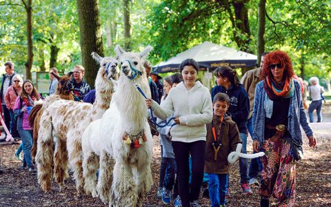 Der Wildpark Ludwigshafen lohnt einen Herbstausflug