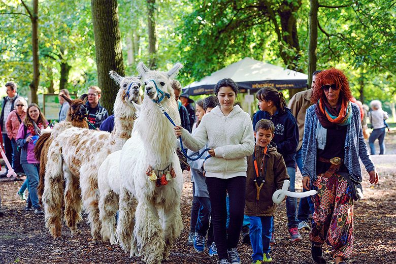 Der Wildpark Ludwigshafen lohnt einen Herbstausflug