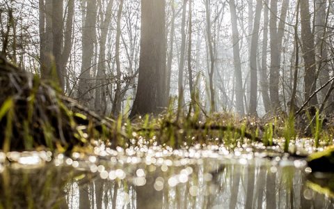 Naturführungen durch LU bei Tag und Nacht