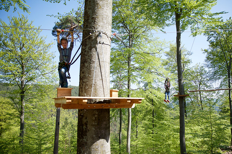 Ziplinepark: An Stahlseilen durch Baumkronen