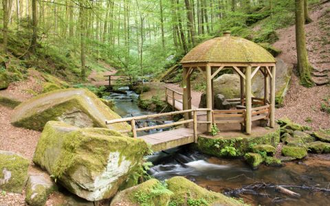 Beim Wandern in der Pfalz Energie tanken