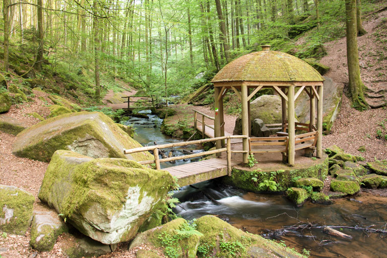 Beim Wandern in der Pfalz Energie tanken