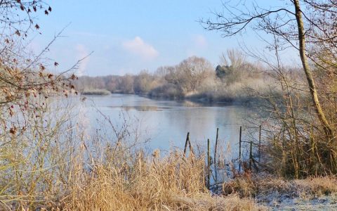 Winterwanderung durchs Maudacher Bruch