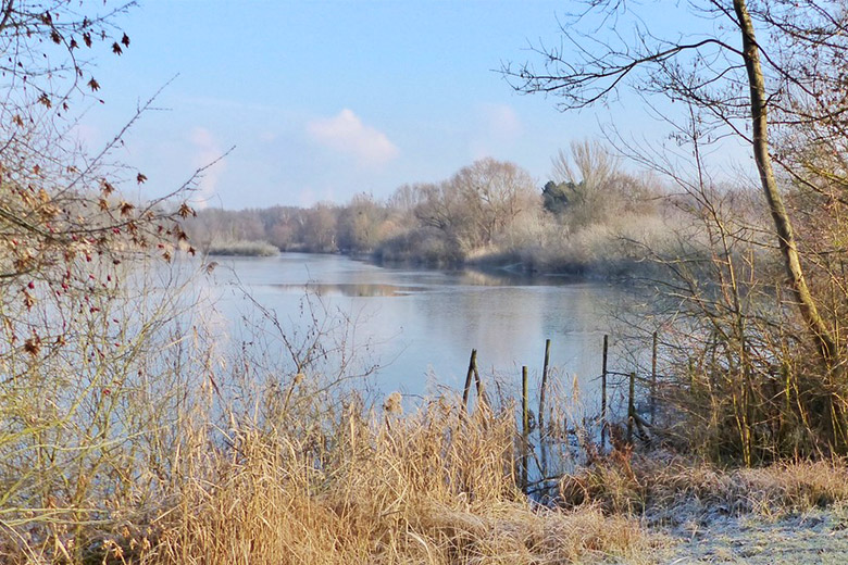 Winterwanderung durchs Maudacher Bruch