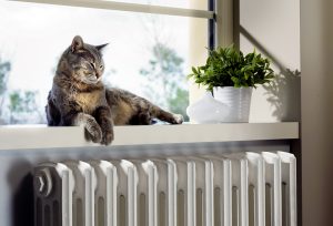 Regelmäßig die Heizung warten zu lassen, spart Energie und Geld.
