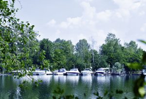 Der Ludwigshafener Kiefweiher bietet viel Platz für Wassersport.