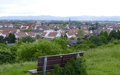 Wanderung zum Michaelsberg