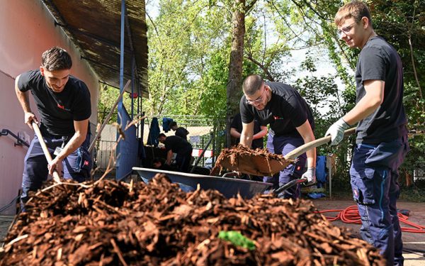 TWL-Nachwuchs im Einsatz