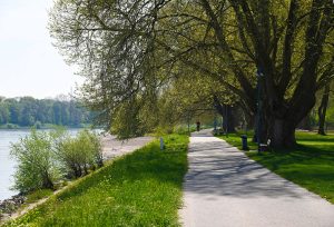 Parkinsel am Rhein